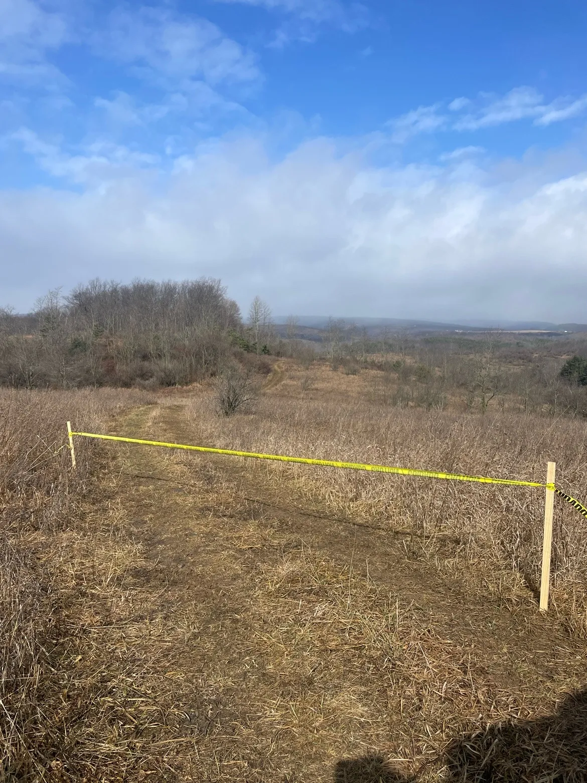 Solar Energy in Frostburg, Maryland