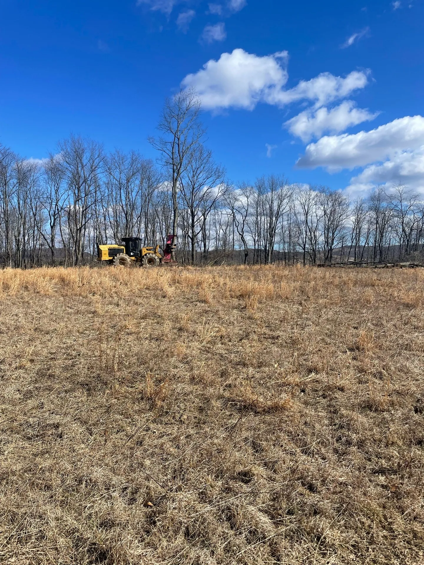 Solar Energy in Frostburg, Maryland