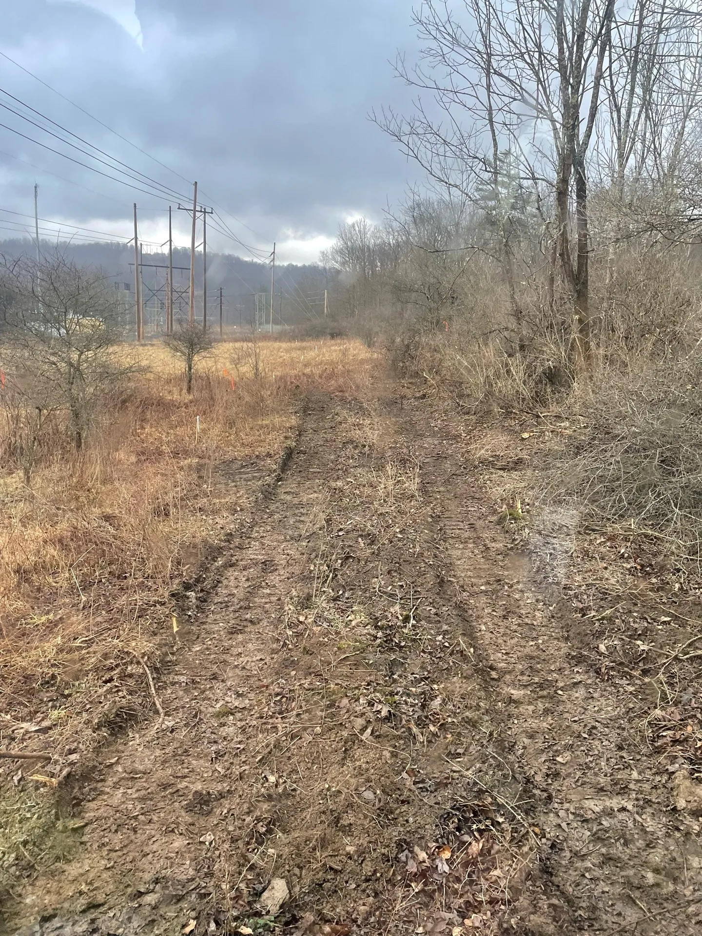 Solar Energy in Frostburg, Maryland