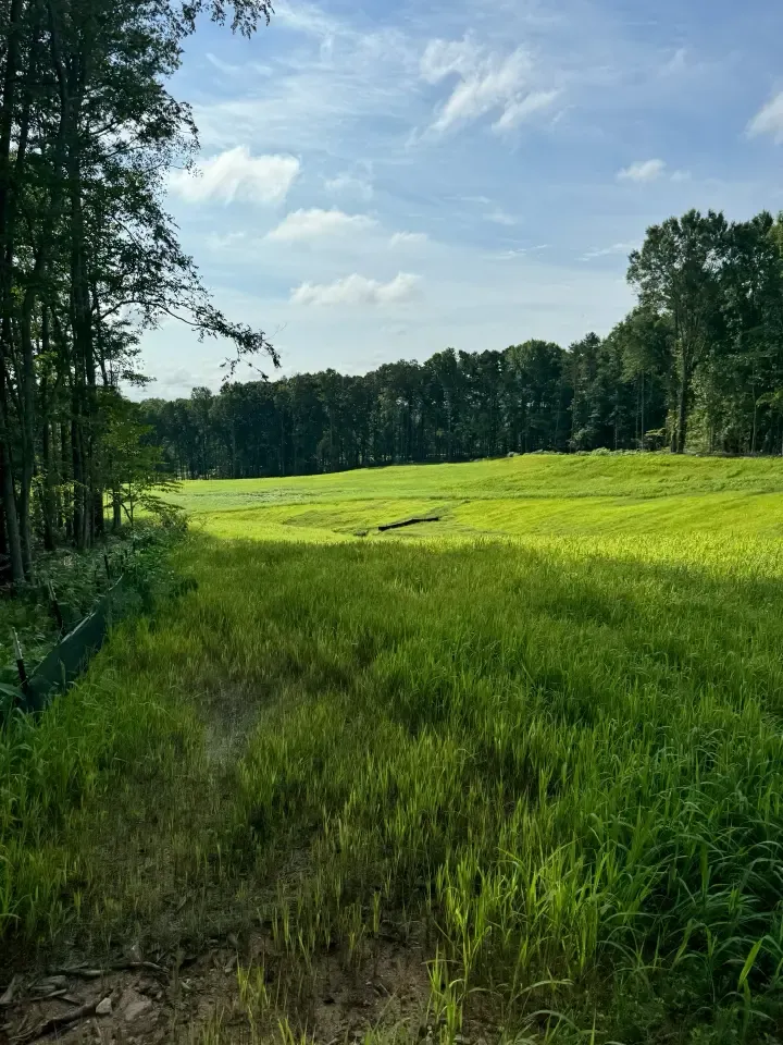 Landfill Remediation outside of Charlotte, North Carolina