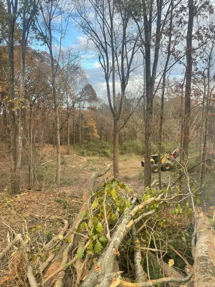 Landfill Remediation outside of Charlotte, North Carolina
