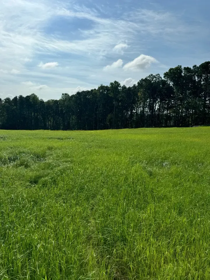 Landfill Remediation outside of Charlotte, North Carolina