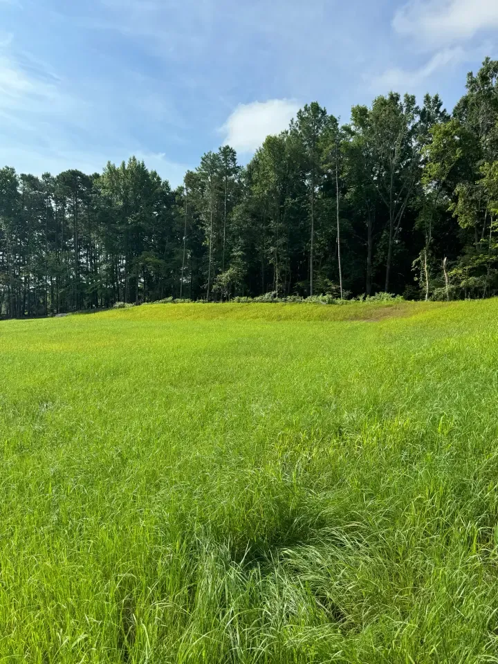 Landfill Remediation outside of Charlotte, North Carolina