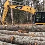 Tree Removal in North Carolina