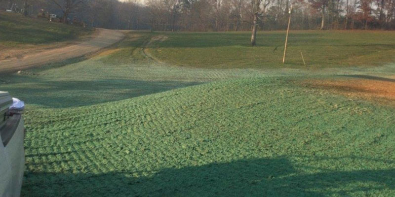 Hydroseeding vs. Sod for Large Projects