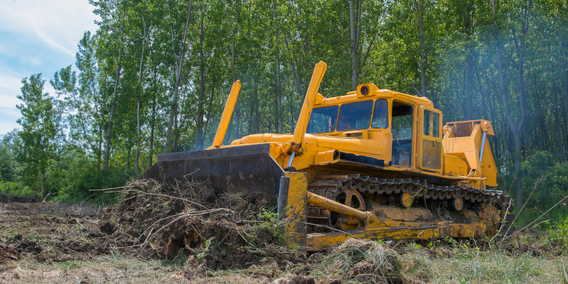 Three Things to Consider With Land Clearing