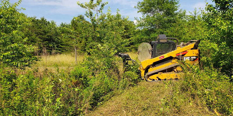 Land Clearing is the First Step to a Successful Project
