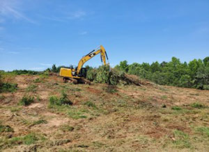How Important is Land Clearing Before Construction?