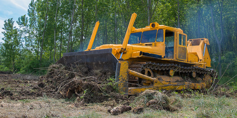 What to Look for in a Land Clearing Company