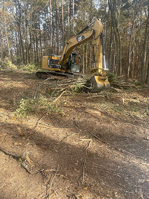 Why You Should Leave Tree Removal to Site Preparation Experts