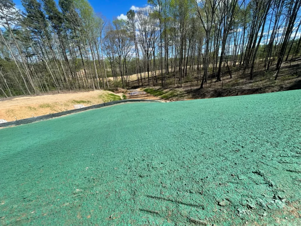 Vibrant green hydroseeded field near forest on sunny day